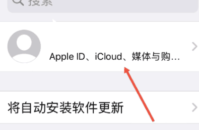 苹果15忘记id密码解决办法