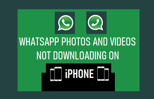 WhatsApp照片和视频无法在iPhone上下载