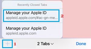 如何在iPhone或iPad上打开最近关闭的标签页