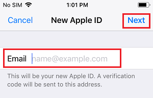 如何在iPhone上更改苹果ID电子邮件地址