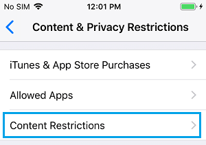 iPhone或iPad上缺少Safari私人浏览选项
