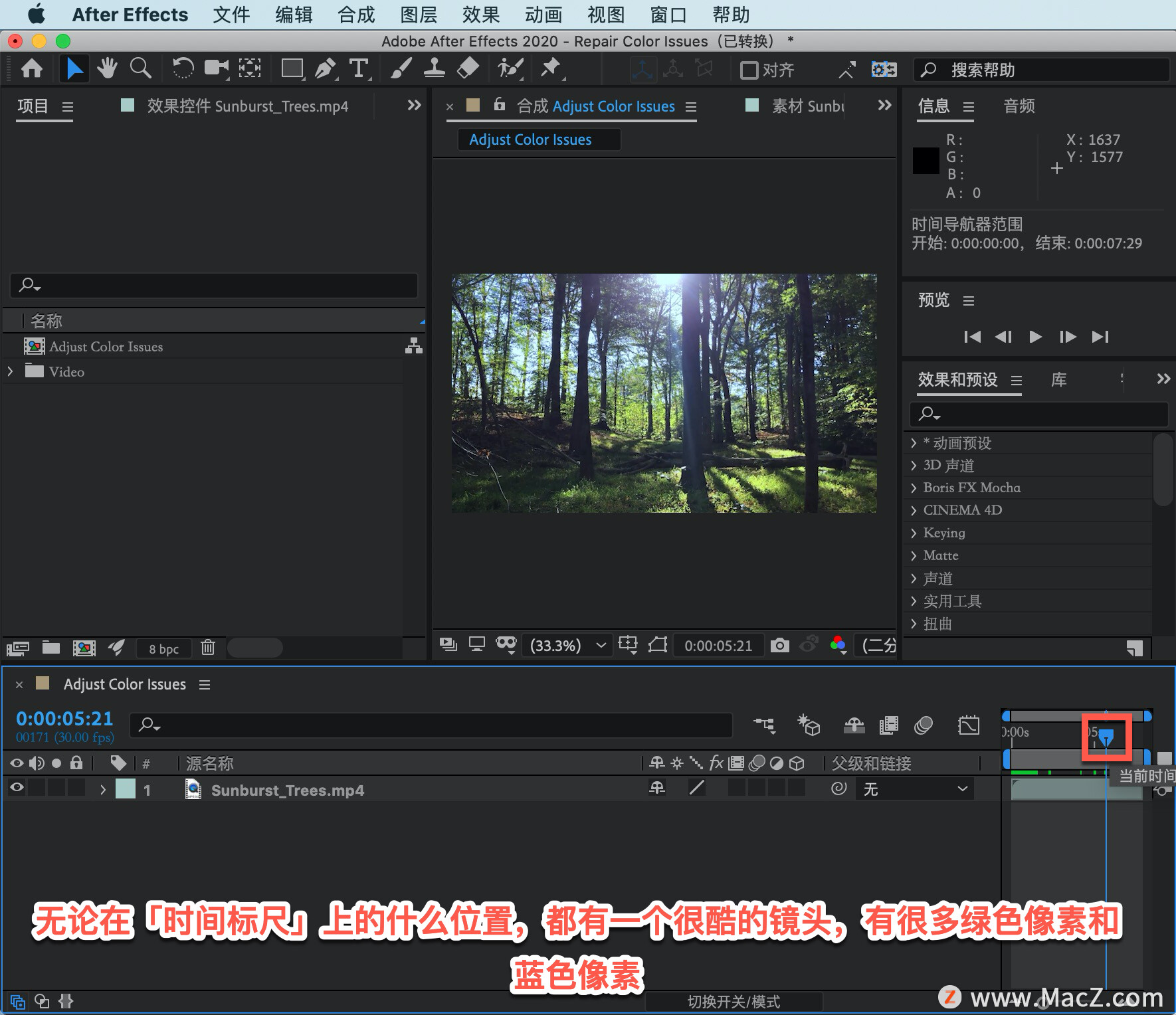After Effects 教程「23」，如何在 After Effects 中增强视频中的颜色？