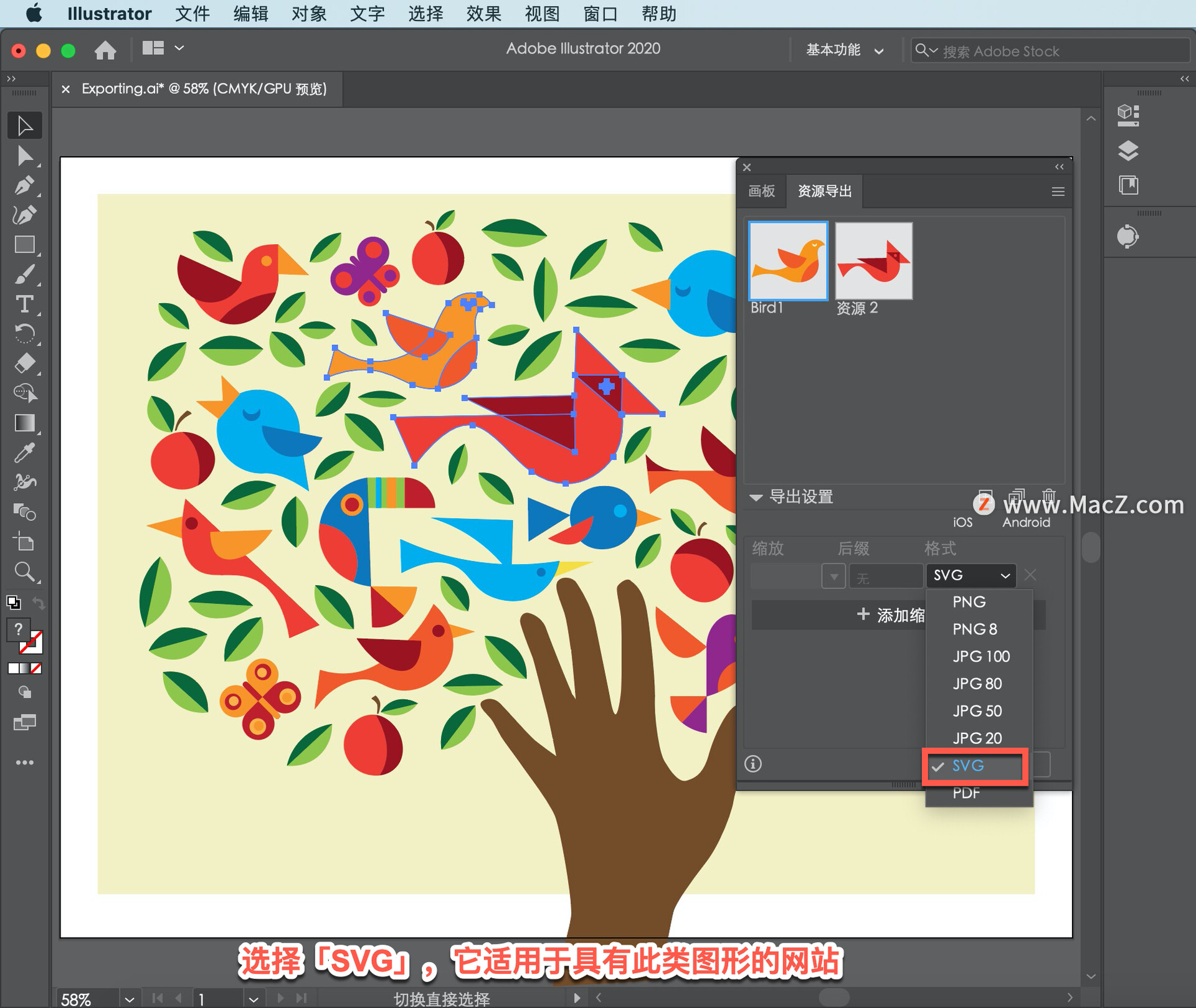 Illustrator 教程「40」，如何在 Illustrator 中导出图像？