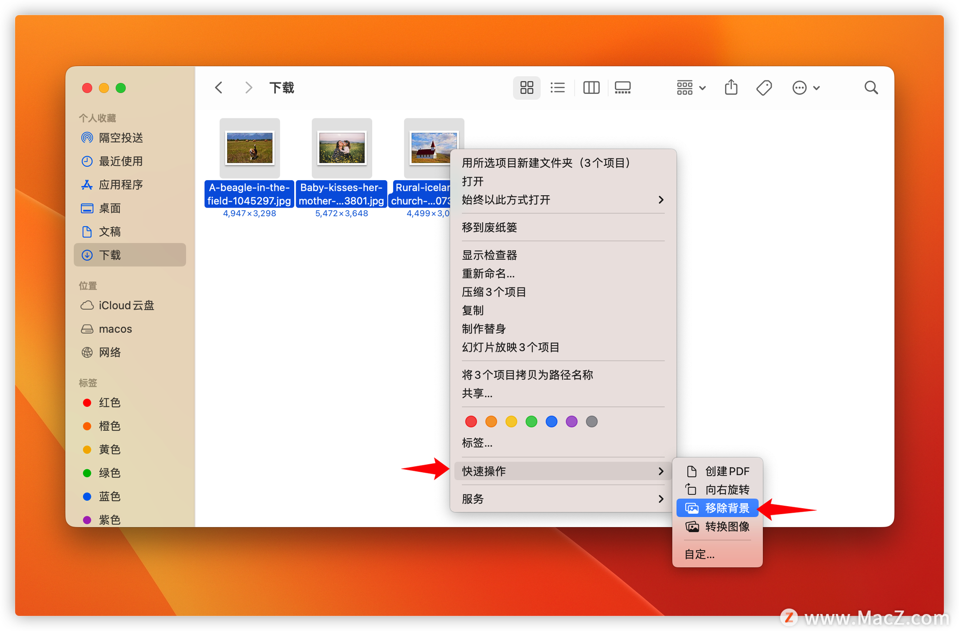 苹果 macOS13 Ventura 新功能：图片移除背景如何开启使用