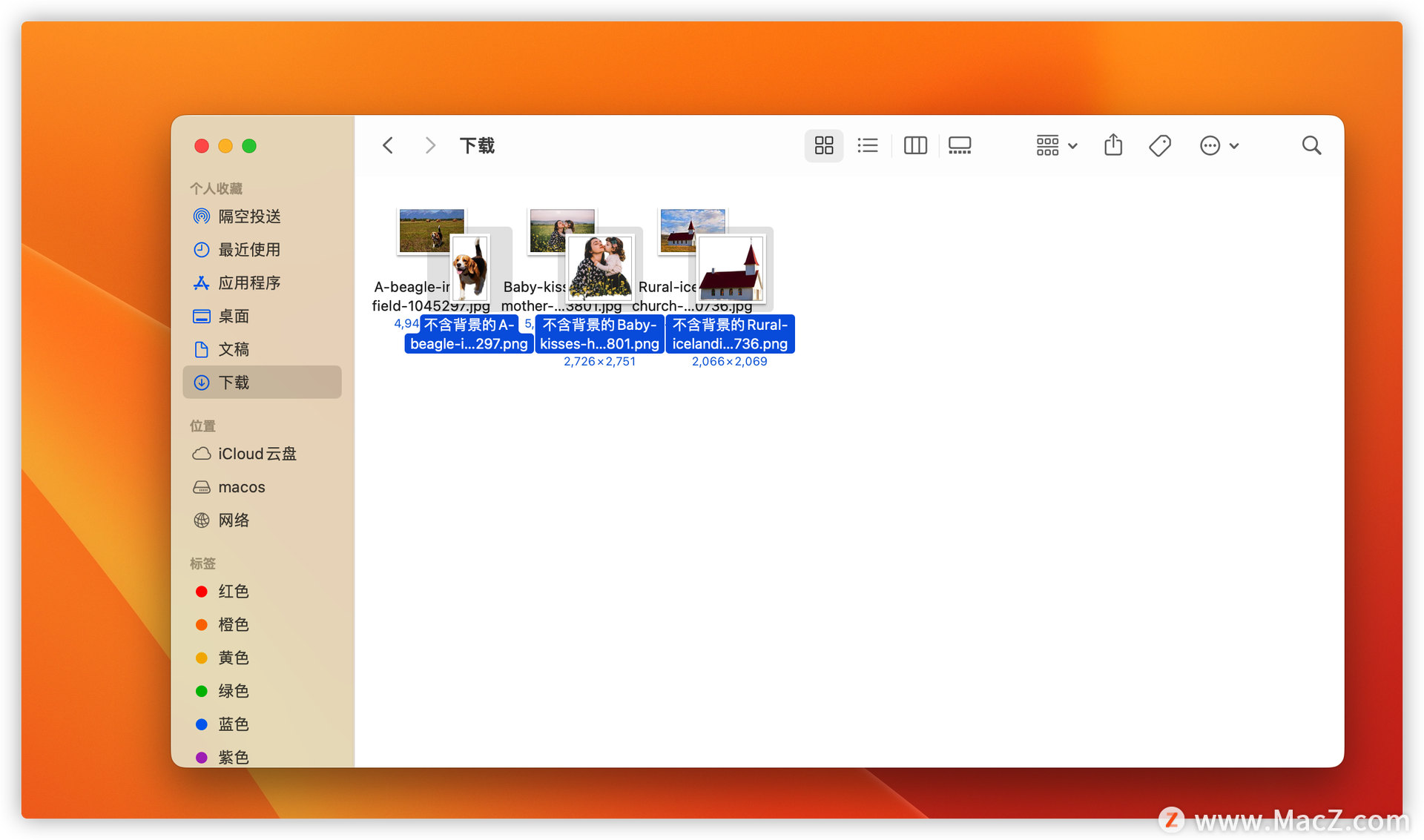 苹果 macOS13 Ventura 新功能：图片移除背景如何开启使用