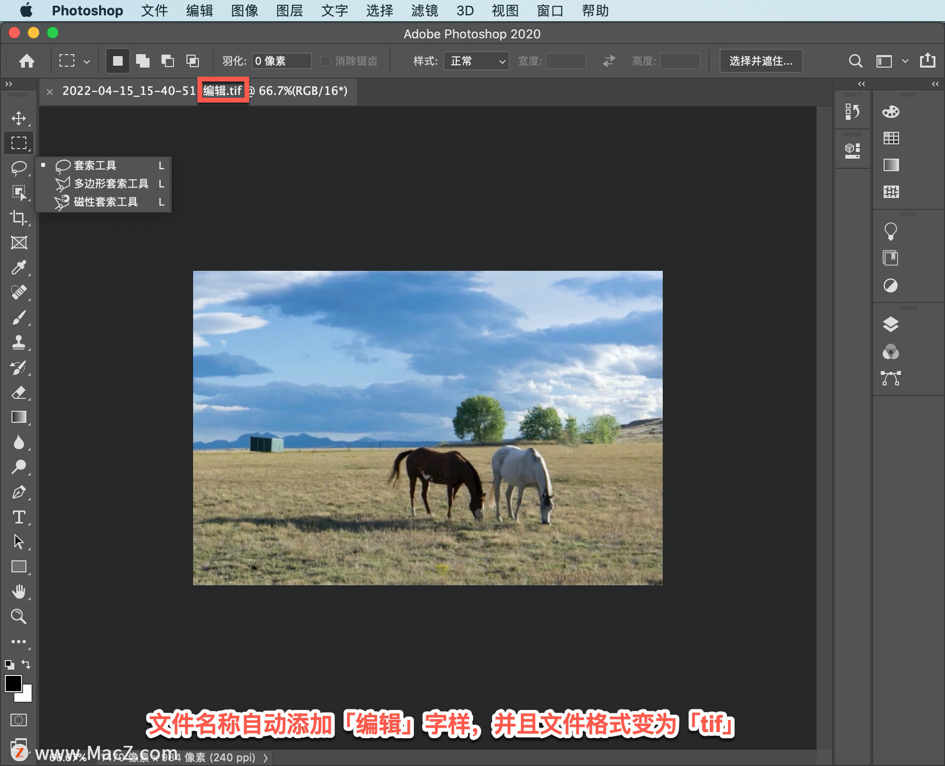 Lightroom Classic 教程「22」，如何使用 Photoshop 和 Lightroom 优化照片？