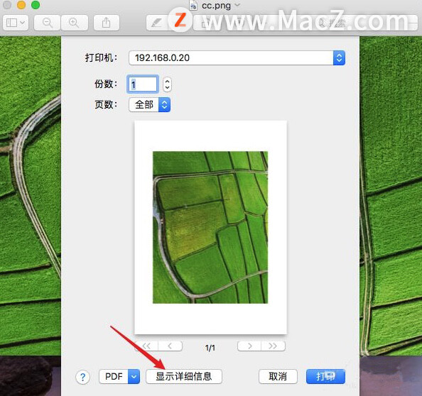 MacBook Pro用法攻略：如何在MacBook上打印图片？