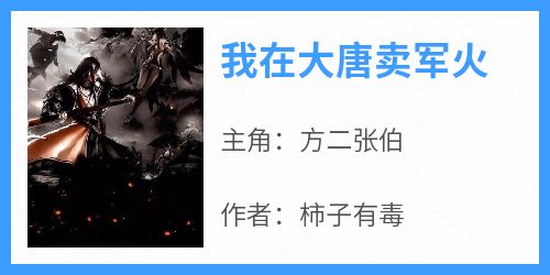 我在大唐卖军火