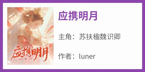 应携明月