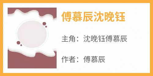 傅慕辰沈晚钰